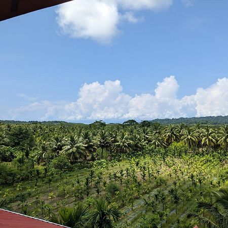 Parkresort - Organic Farm Resort Kala Pathar Beach Eksteriør bilde